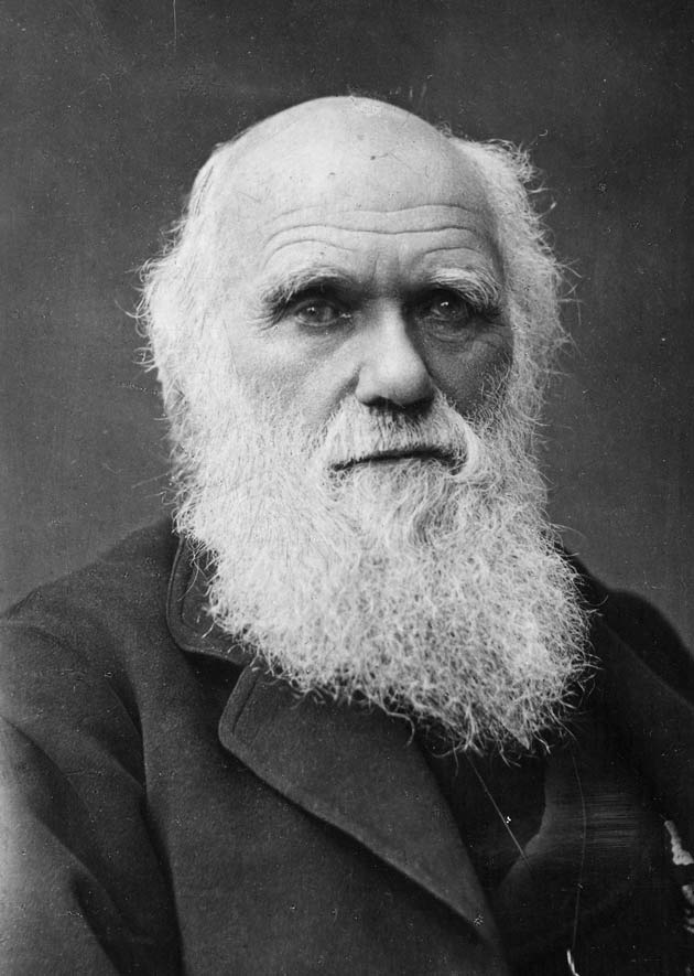 Mês de Darwin: pai da evolução visitou Noronha em 1832 - Projeto Golfinho  Rotador