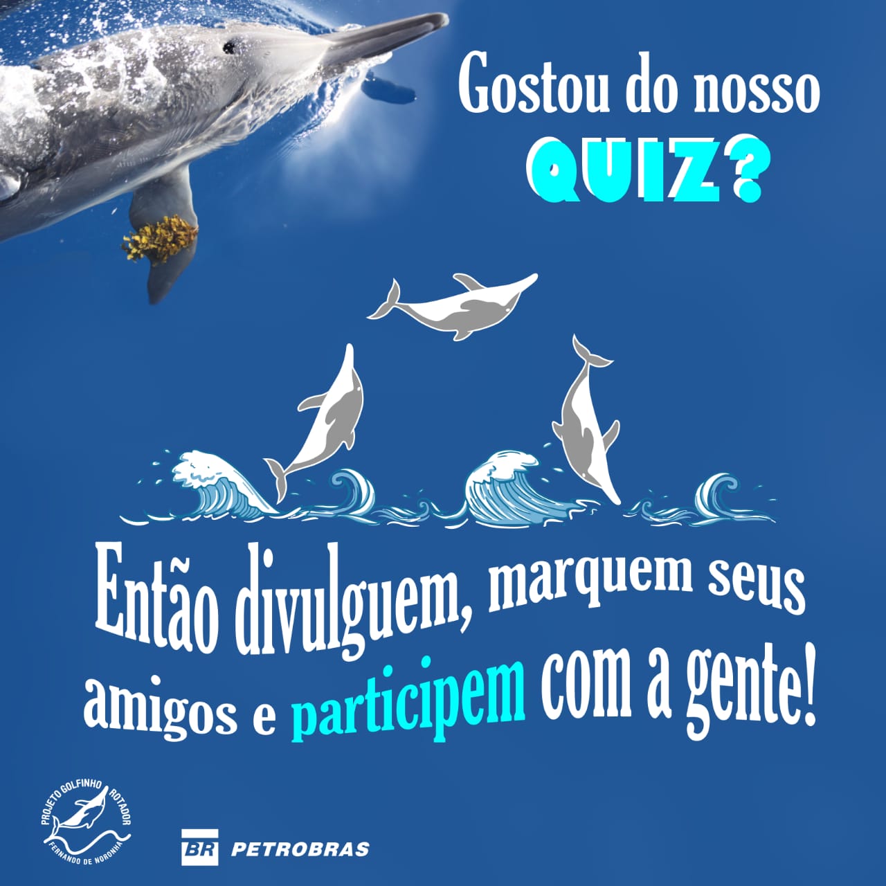 Quiz - Semana do Meio Ambiente 