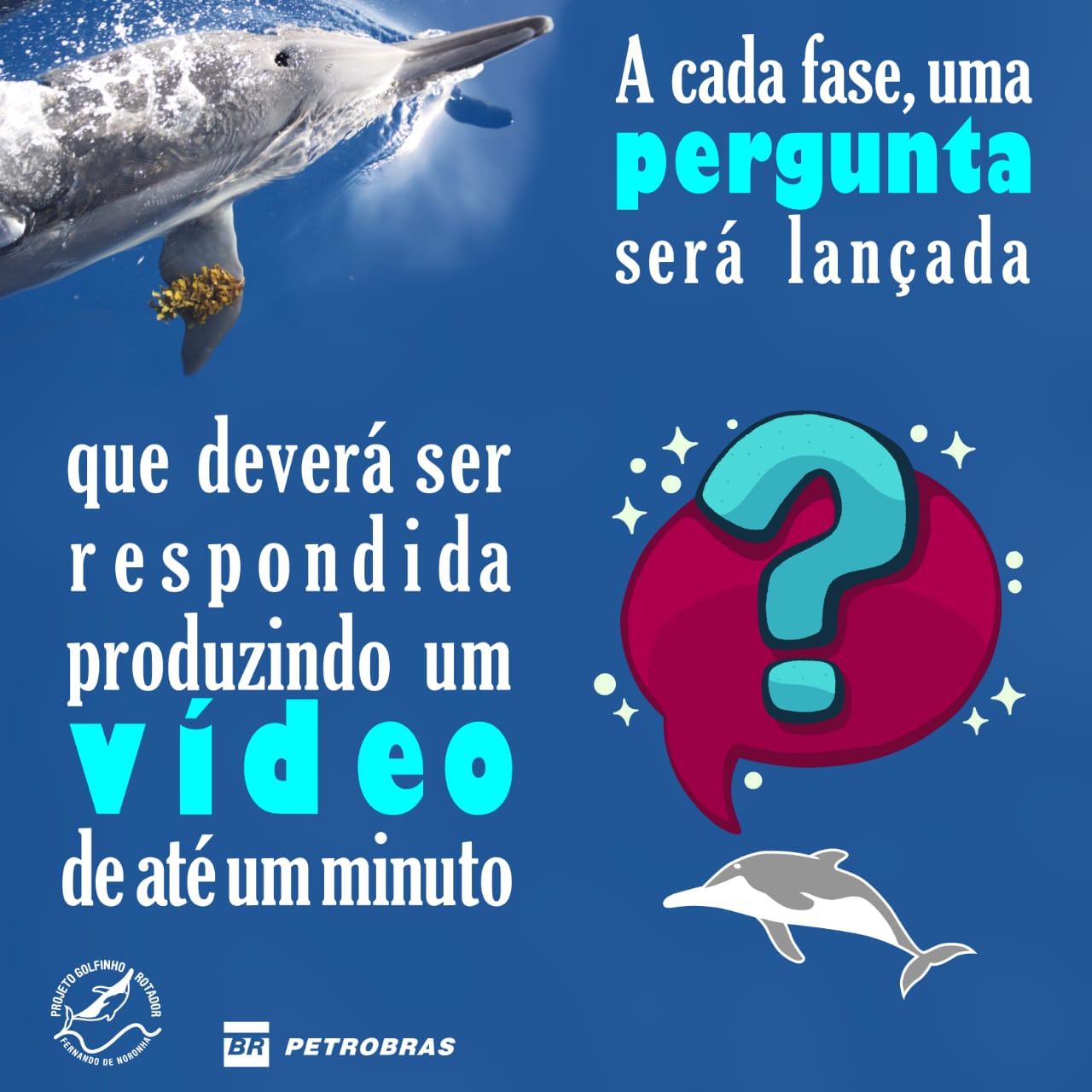 Quiz - Semana do Meio Ambiente 