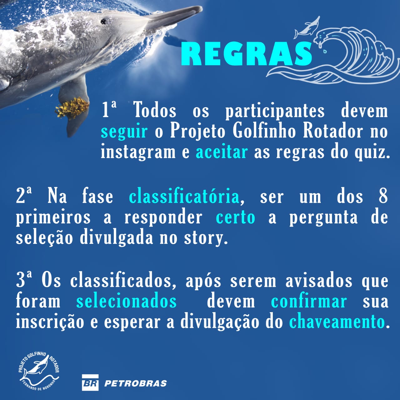 Semana do Meio Ambiente 2020 - Projeto Golfinho Rotador