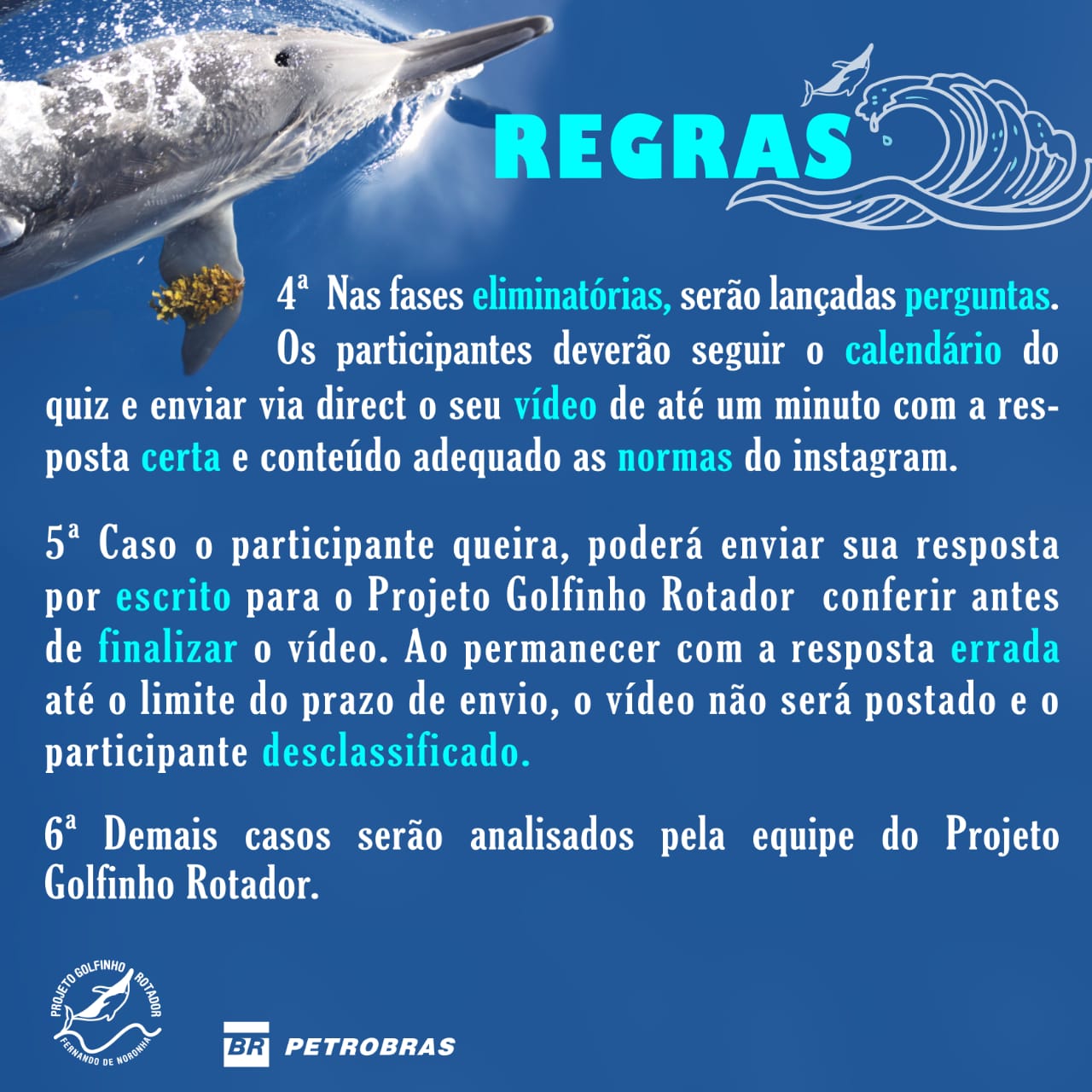 Semana do Meio Ambiente 2020 - Projeto Golfinho Rotador