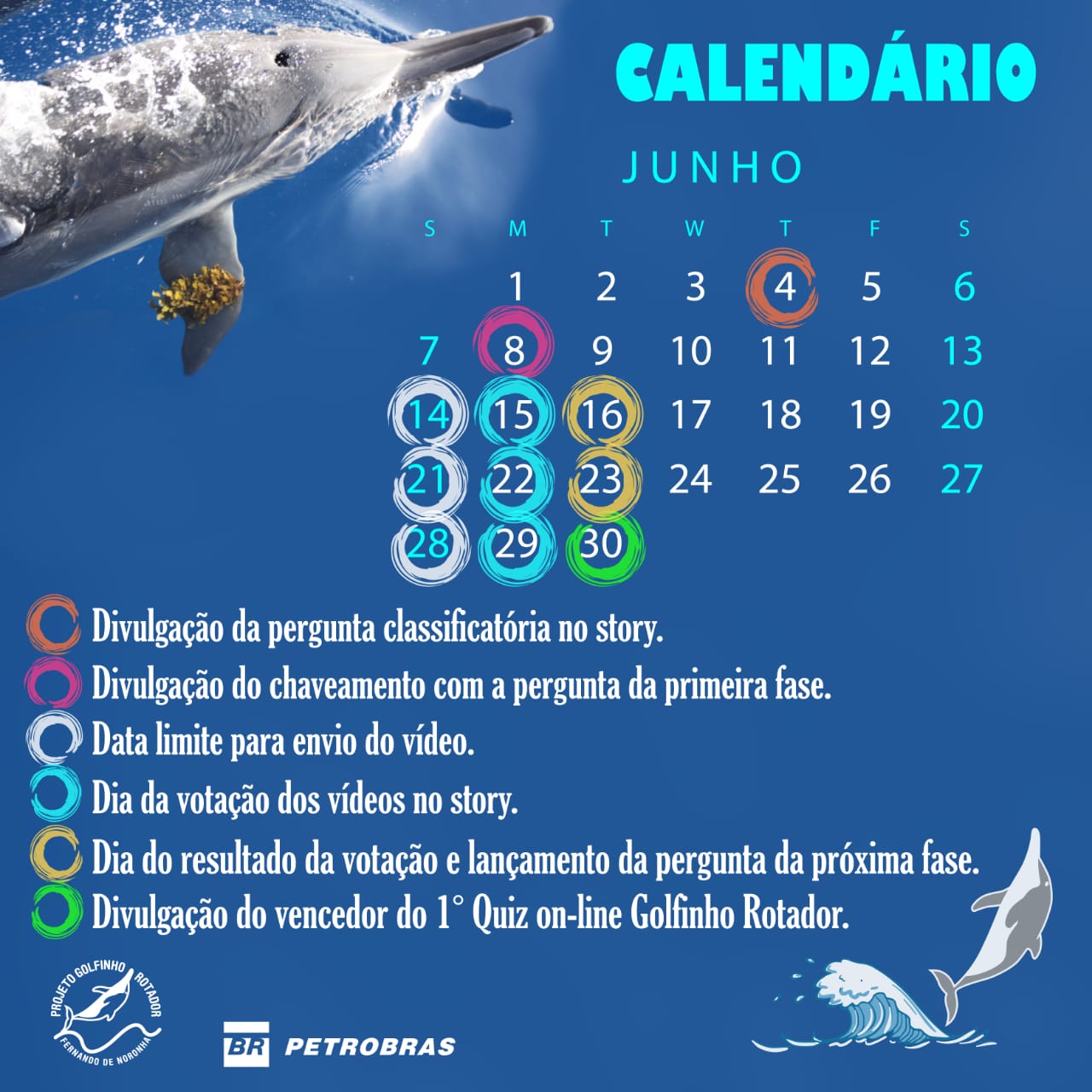 Semana do Meio Ambiente 2020 - Projeto Golfinho Rotador