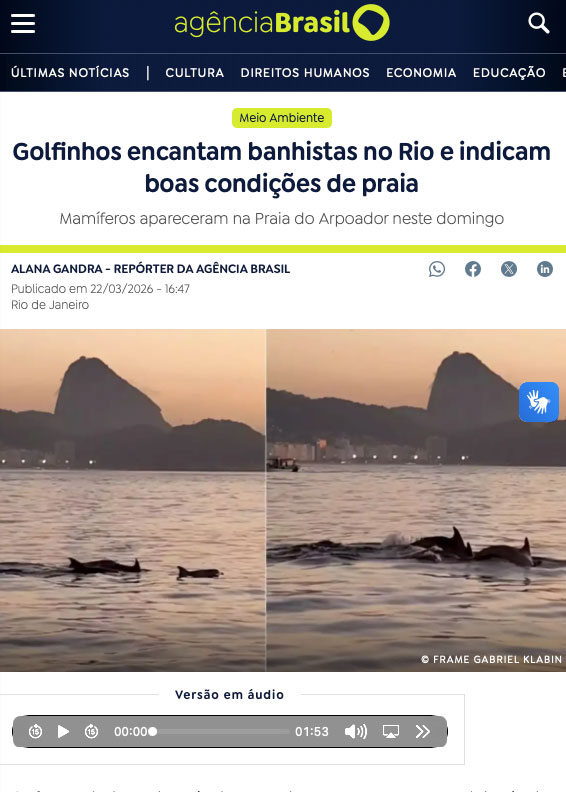 Golfinhos no Arpoador